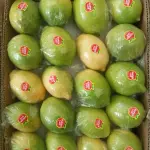 Buy Sour Lemons for Wholesale In Cooperation Price Order Now