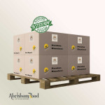 Premium Persian Hazelnuts – Wholesale Supply in Iran at Competitive Prices