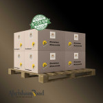 Premium Persian Almonds – Wholesale Supplier from Iran at Competitive Prices