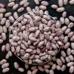 Iranian Pinto Beans Wholesale With Lowest Price Available For Export Order Now