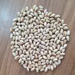 Wholesale Supplier of Iranian Pistachios – Buy Pistachios in Bulk Price
