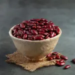 Premium Iranian Red Kidney Beans – Bulk Supply for International Markets In Best Price