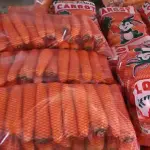 Wholesale Carrot Fresh in Iran At Cooperation Price