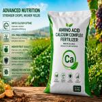 Amino Acid Calcium Complex Fertilizer Export from Iran | Global B2B