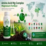 Amino Acid Mg Complex Magnesium Fertilizer | Export & Global Markets