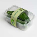 Iranian Cucumber For Export In Best Price Order Now