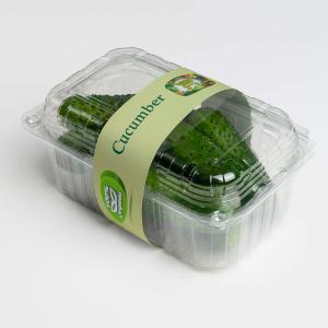 Iranian Cucumber For Export In Best Price Order Now