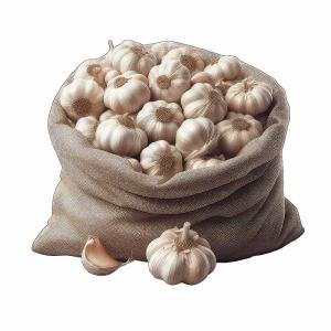 Bulk Iranian Garlic For Wholesale At Best Prices