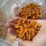 Almonds In Wholesale From Iran