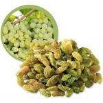 Green Raisin Iran Wholesale Supplier