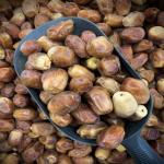 Zahedi Dates Great Price In Bulk Order