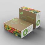 Bell Peppers Export In Best Price