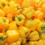 Bell Peppers Export In Best Price