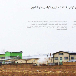 Dineh Iran Industrial