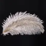Ostrich Feather Trim Wholesale Available in Bulk Medium Light Blue Burgundy(12 cm)