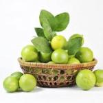 Buy Sour Lemons for Wholesale In Cooperation Price Order Now