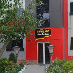 SINA PROTEIN