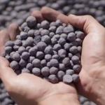 Buy Industrial Urea (Carbamide) 46% Nitrogen | Bulk Export Supplier