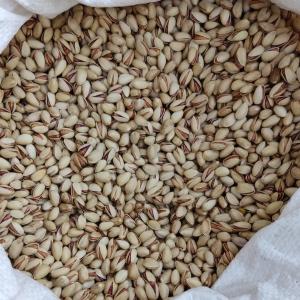 Premium White Pistachios for Export | High-Quality Nuts at Best Price