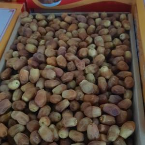 Zahedi & Shahani Dates Wholesale In Iran & Supplier