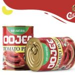 High Quality Of Tomato Paste Can (800GR) Supplier & Wholesale In Iran Premium Quality
