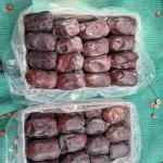 Mazafati Dates for Export – High-Quality Bulk Supply