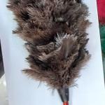 Export Ostrich feather dusters in Iran