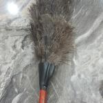Export Ostrich feather dusters in Iran