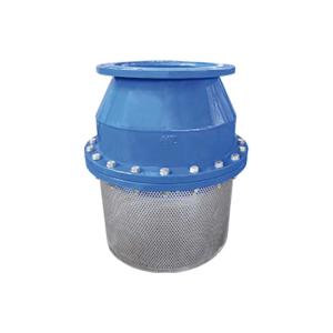 Iron Foot Valve Export – Durable Pump Protection at Affordable Prices