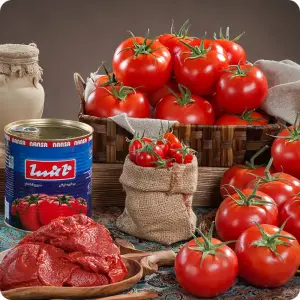 Nansa Food