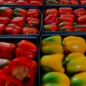 Bell Peppers Export – Wholesale Supplier | Fresh Red, Yellow, Green & Orange