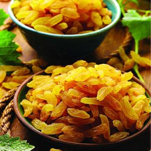 Premium Golden Ghalami Raisins for Bulk Export – High Quality