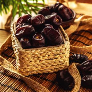 Premium Mazafati Dates for Export – Soft, Sweet & High-Quality Dates