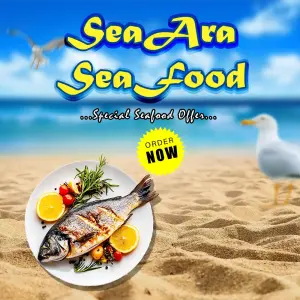 Seaara co