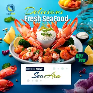 Seaara co