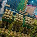 Premium Export-Grade Kiwi, Nutritious & Affordable for Global Markets