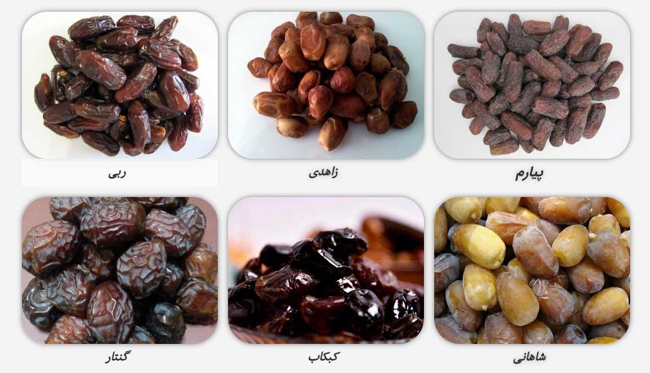 TIKAB Dates Palm Company