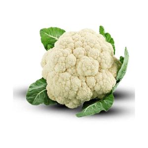 Bulk Iranian Cauliflower Export – Quality at Affordable Prices