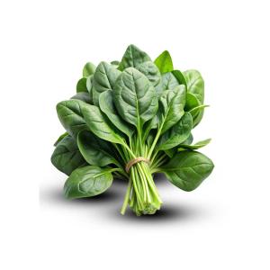 Wholesale Dried Spinach Export – Nutrient-Rich & Affordable Bulk Supply from Iran