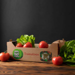 Fresh Packed Tomato In Export In Best Prices